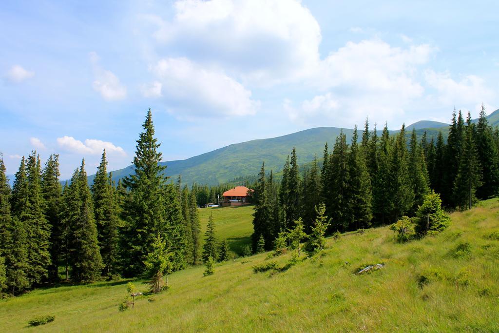 Hotel Оаза à Dragobrat Extérieur photo